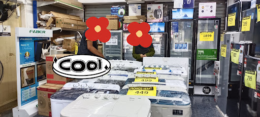 Sega Electronic